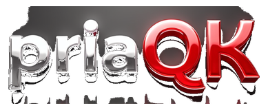 priaqq logo